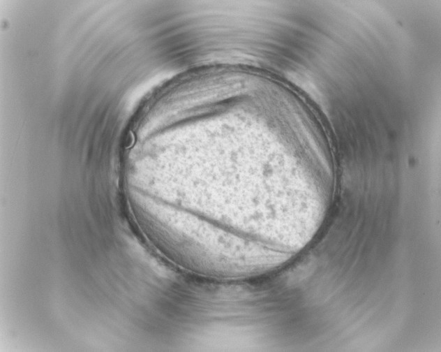 X0000088650979200706152003