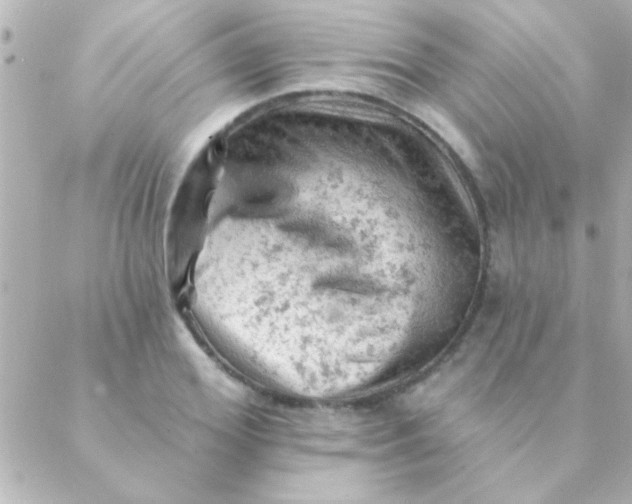 X0000088650980200706152003