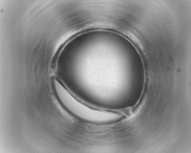 X0000088650981200706152003