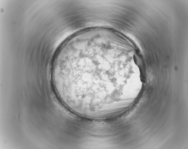 X0000088650983200706152003