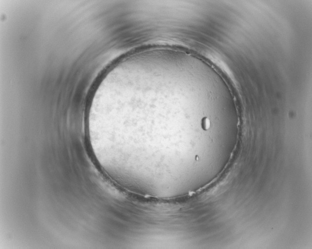 X0000088650984200706152003