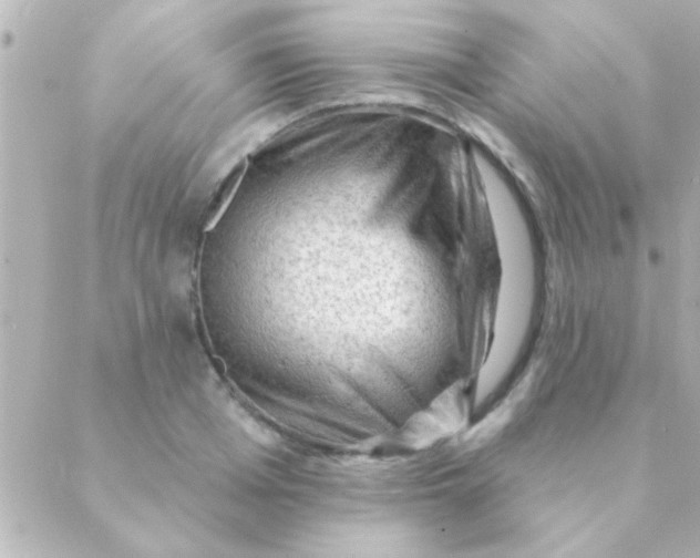 X0000088650985200706152003