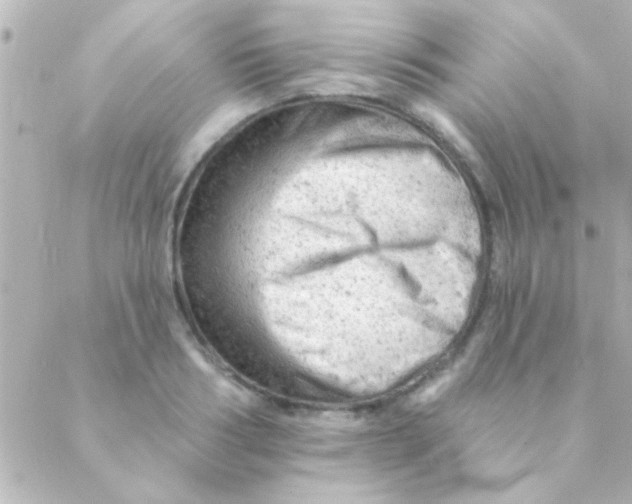 X0000088650986200706152003