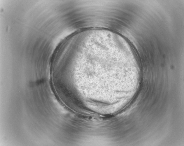 X0000088650987200706152003