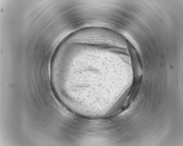 X0000088650988200706152003