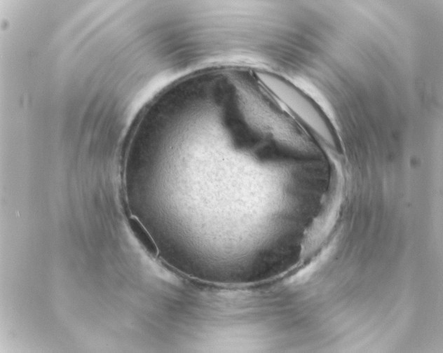 X0000088650989200706152003