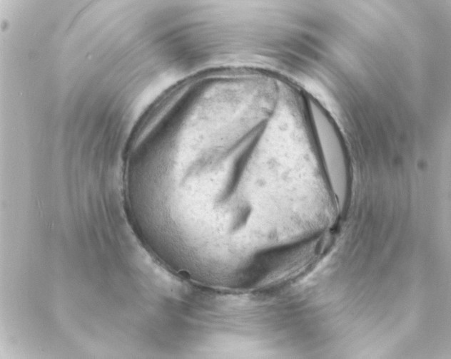 X0000088650990200706152003