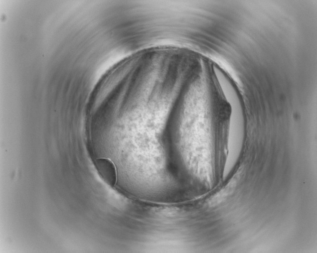 X0000088650991200706152003