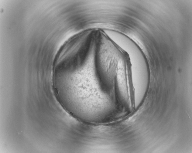 X0000088650992200706152003