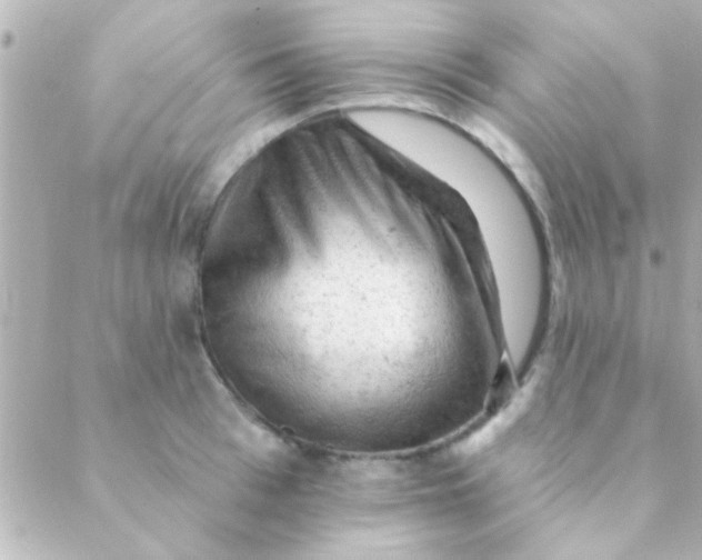 X0000088650993200706152003