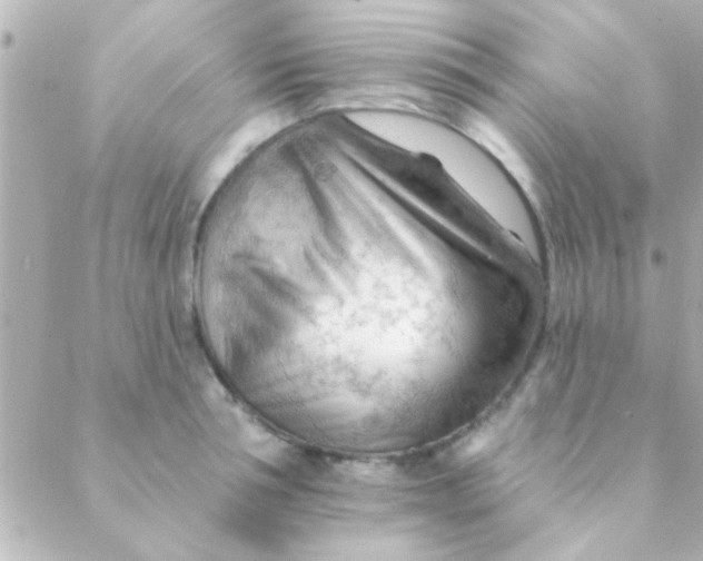 X0000088650994200706152003