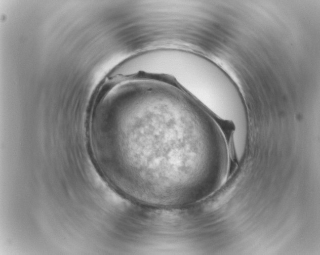 X0000088650995200706152003