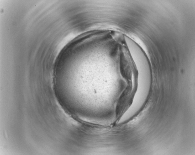 X0000088650997200706152003