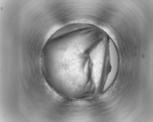 X0000088650998200706152003