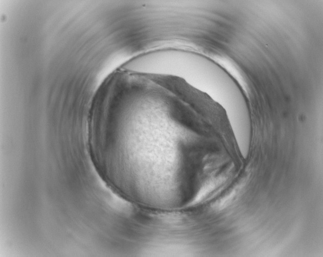 X0000088650999200706152003