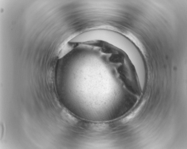 X0000088651001200706152003