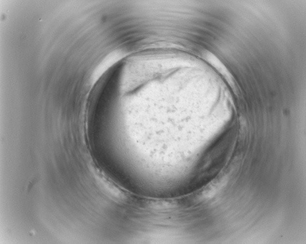 X0000088651002200706152003