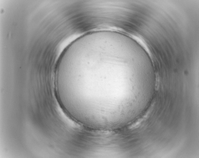 X0000088651003200706152003