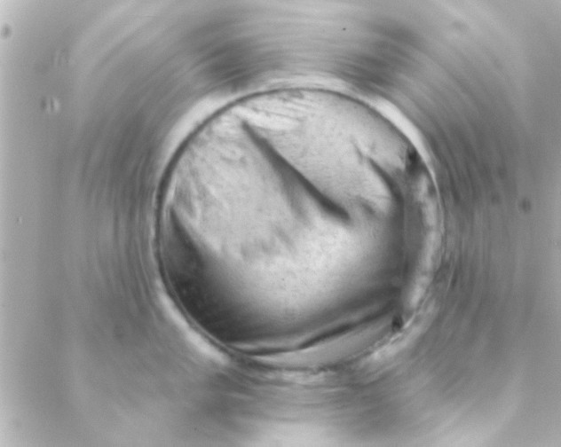 X0000088651005200706152003