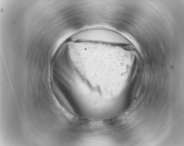 X0000088651006200706152003