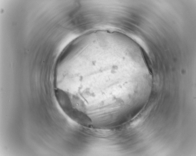 X0000088651007200706152003