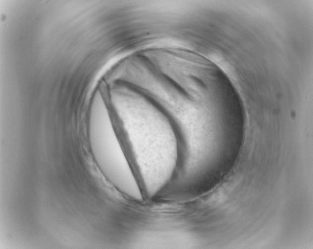 X0000088651008200706152003