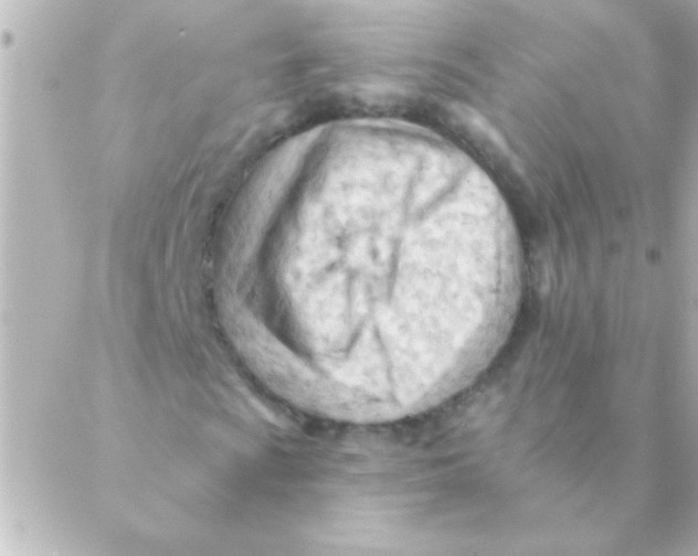 X0000088651009200706152002