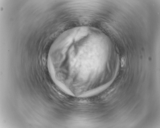 X0000088651011200706152002