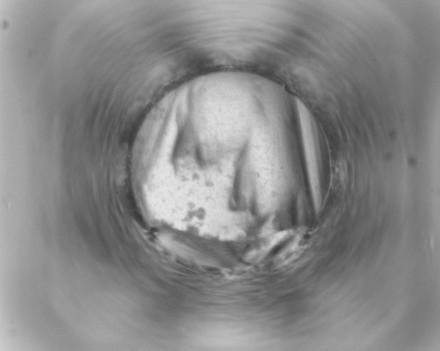 X0000088651012200706152002