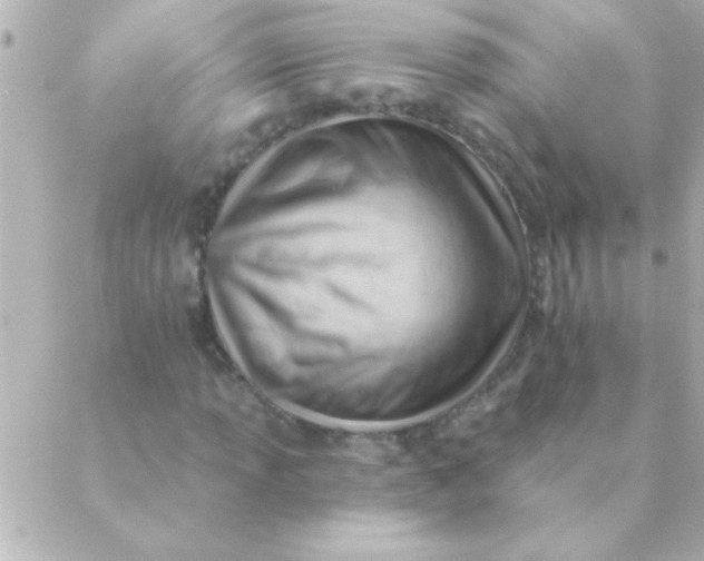 X0000088651013200706152002