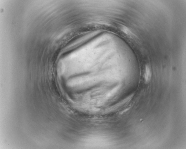 X0000088651014200706152002