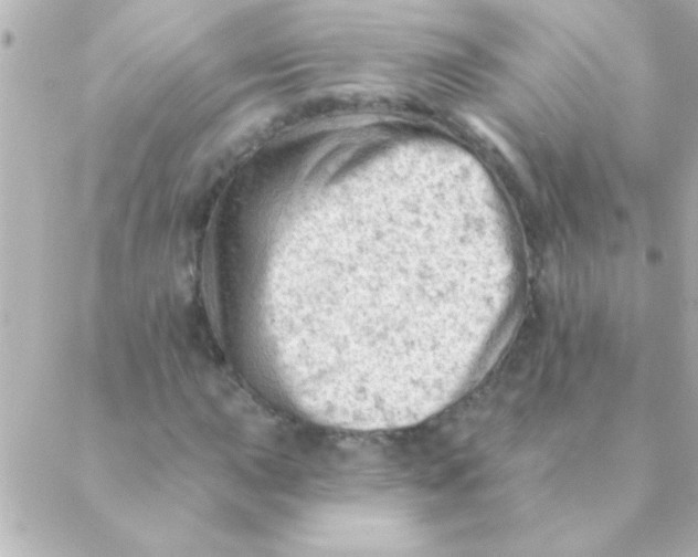 X0000088651015200706152002