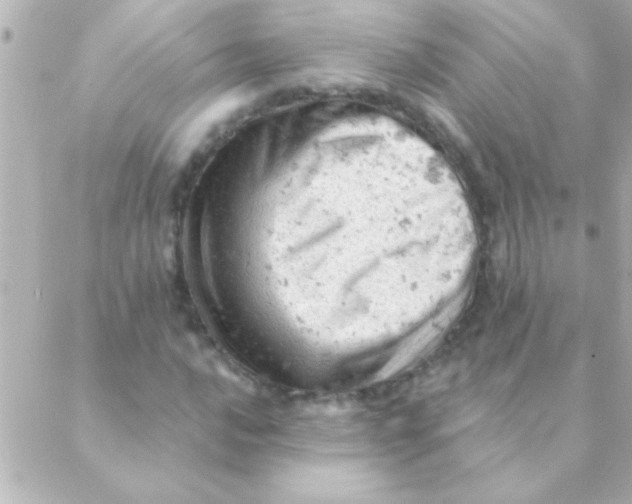 X0000088651016200706152002