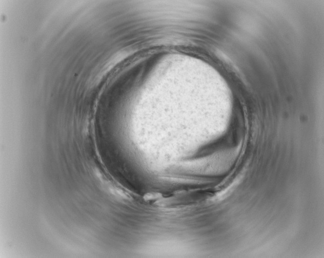 X0000088651017200706152002