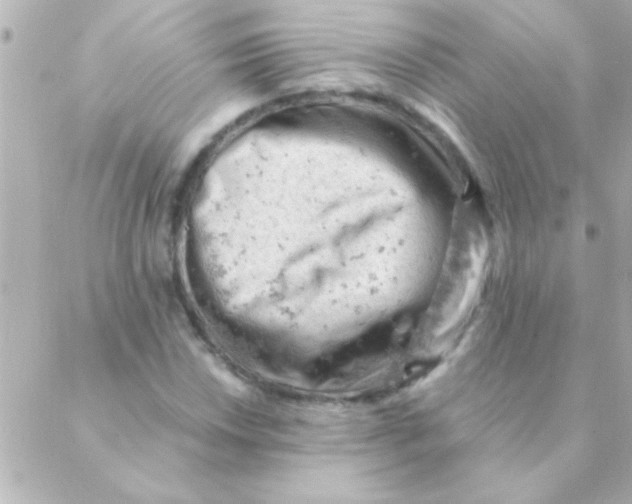 X0000088651018200706152002