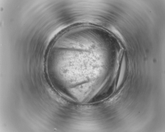 X0000088651020200706152002