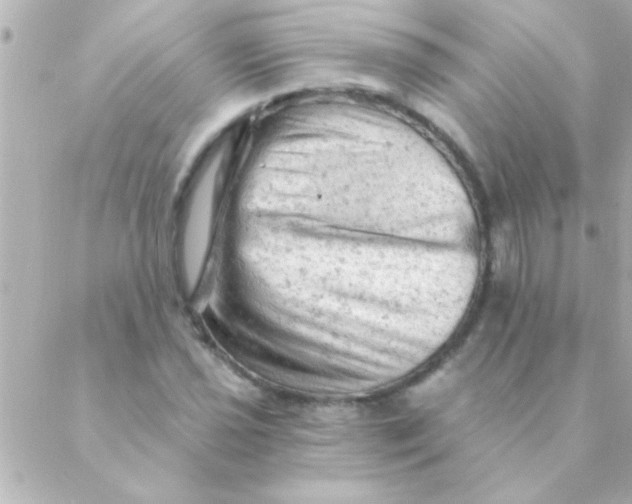 X0000088651021200706152002