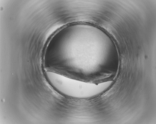 X0000088651024200706152002