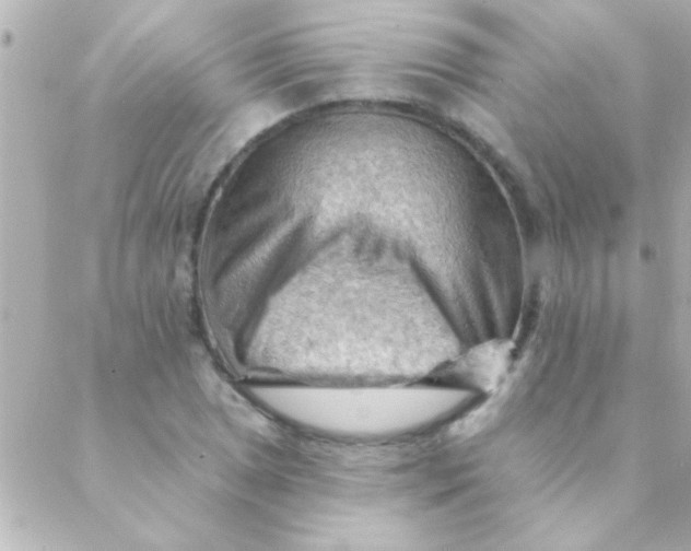 X0000088651025200706152002