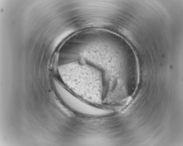 X0000088651026200706152002