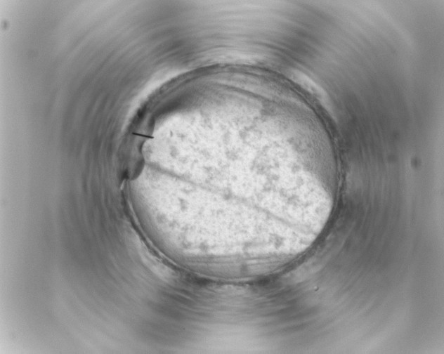 X0000088651027200706152002