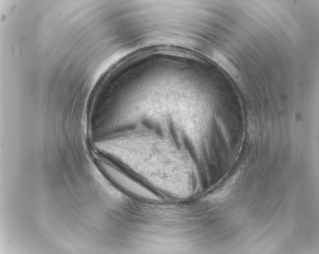 X0000088651028200706152002