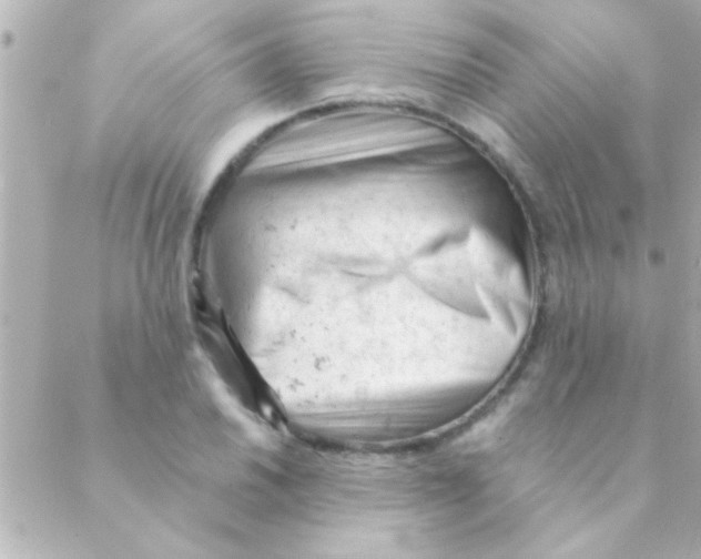 X0000088651030200706152002