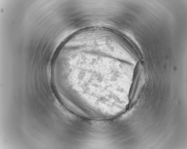 X0000088651032200706152002