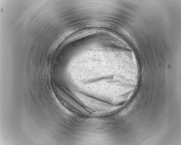 X0000088651033200706152002