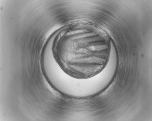 X0000088651034200706152002