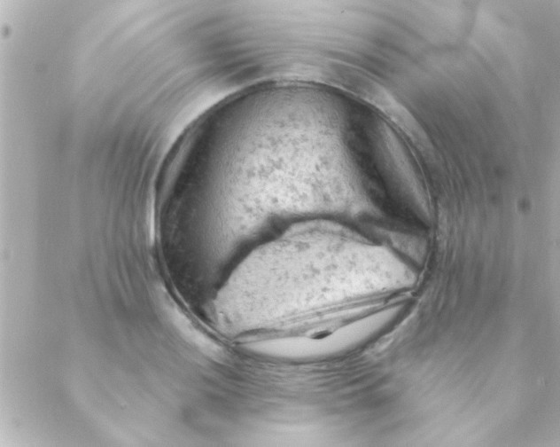 X0000088651036200706152002