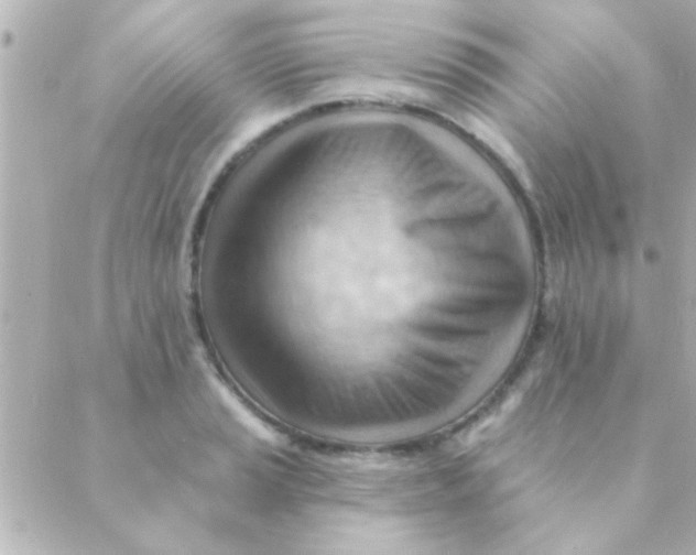 X0000088651037200706152002