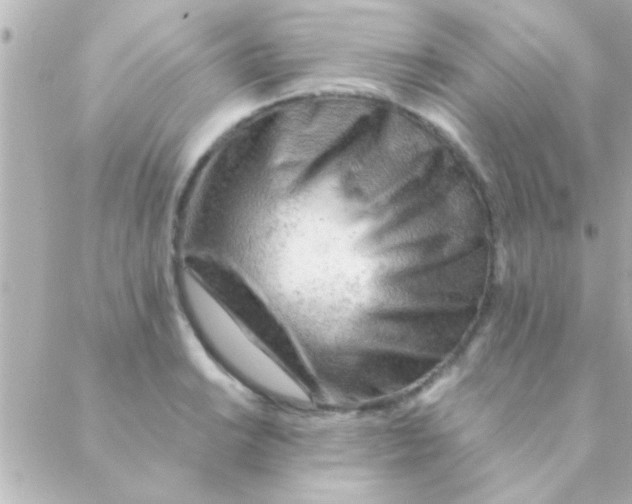 X0000088651038200706152002