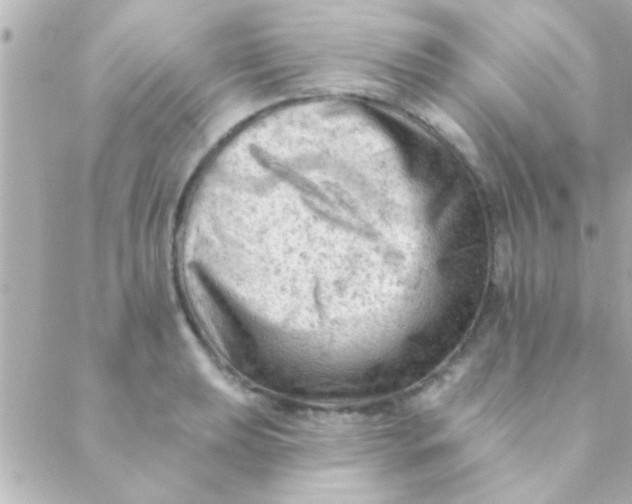 X0000088651039200706152002